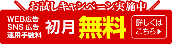 お試しキャンペーン実施中