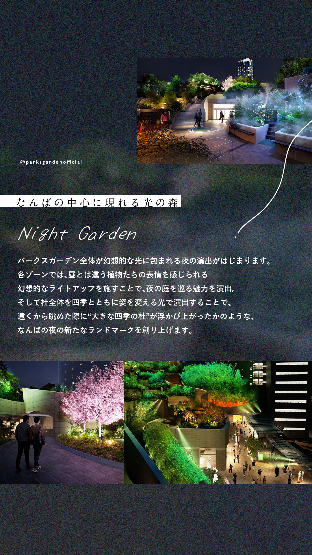 Night Garden