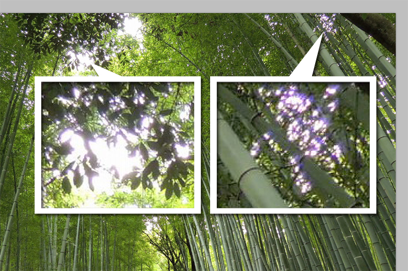 Photoshopでパープルフリンジを除去する方法 大阪のホームページ制作 Sns運用会社 Marqs マークス株式会社
